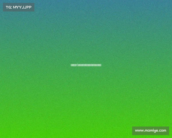 英雄联盟S赛官方资源深度解析与精彩瞬间回顾 英雄联盟S赛官方资源深度解析与精彩瞬间回顾