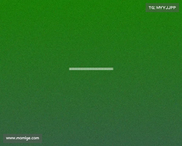 高尔夫技术全面解析与提升技巧讲座从基础到高阶的实战应用指导