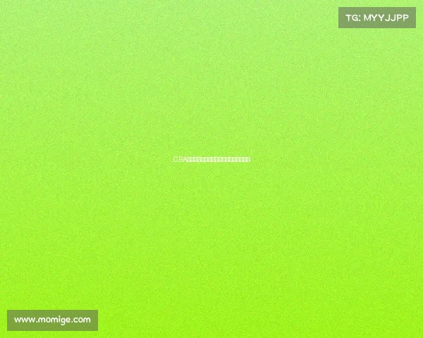 CBA大学生球员培养体系探索与发展路径分析