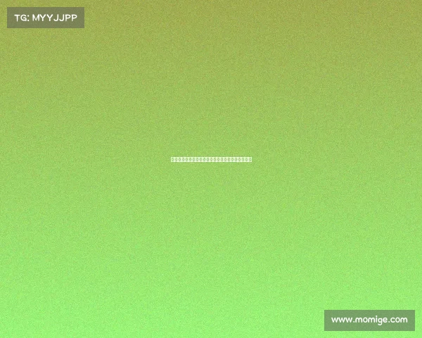 足球转会市场行情波动分析报告解读与未来走势预测