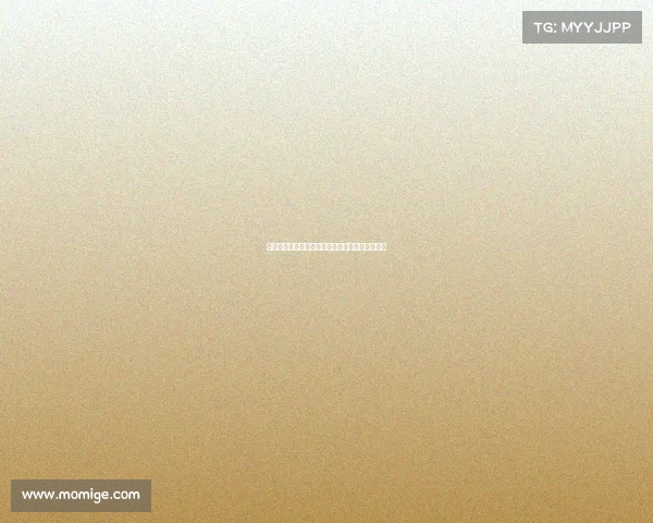 英超解说嘉宾分析精彩瞬间与赛事背后的深度解读