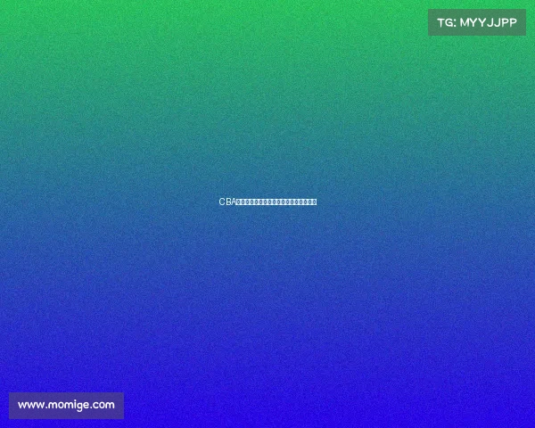 CBA大学生球员培养体系探索与发展路径分析