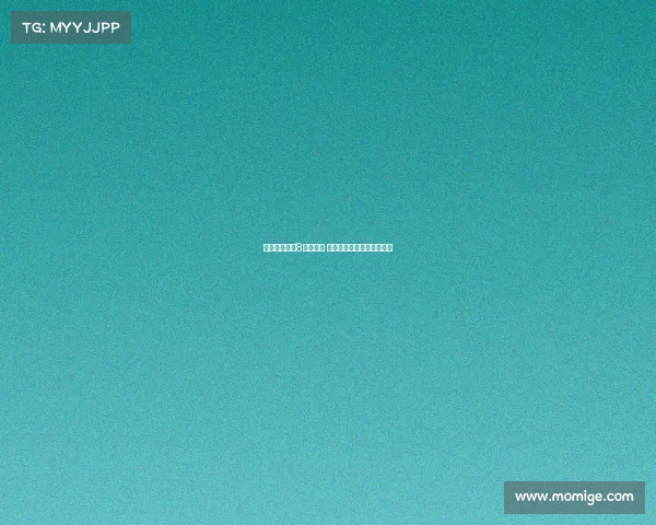 齐沃：目标非8月杯胜利 专注为联赛积蓄力量与发展