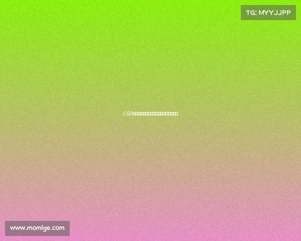 CBA大学生球员培养体系探索与发展路径分析