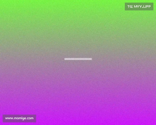 西甲联赛球员体能恢复策略与训练方法研究分析