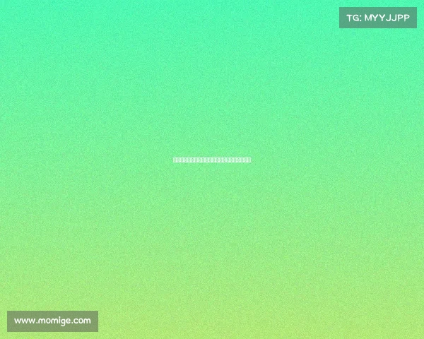 阿森纳旧将阿尔芒特拉奥雷的时代回忆与传奇轨迹 阿森纳旧将阿尔芒特拉奥雷的时代回忆与传奇轨迹