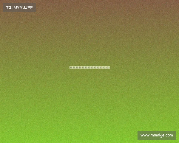 足球俱乐部转会计划实施方案与执行策略分析及优化路径探讨