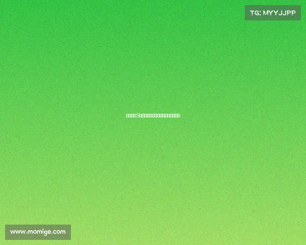 英雄联盟S赛官方资源深度解析与精彩瞬间回顾